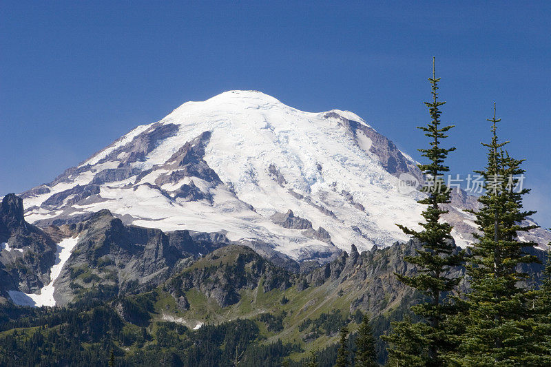 来自Naches Peak Trail的雷尼尔山